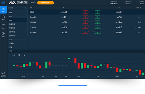 WebTrader(Figure 2)
